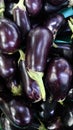 Vertical shot of a heap of eggplant