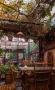 Vertical shot of a hidden restaurant with vintage details and a ceiling covered with plants