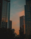 Vertical shot of high glass skyscrapers in Seattle at sunset