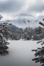 Vertical shot of high snowed mountain with trees