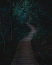 Vertical shot of a Hiking trail in the deep dark green Newlands Forest in Cape Town, South Africa Royalty Free Stock Photo