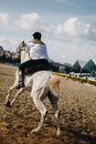 Vertical shot of a horserider on a white horse during an event at daytime
