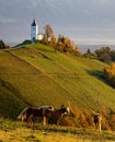 Vertical shot of horses near The Church of St. Primoz and Felicijan on an evergreen hill in Jamnik Royalty Free Stock Photo