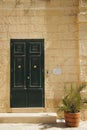 Vertical shot of  a house with a green door and a plant on the front Royalty Free Stock Photo