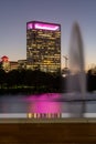 Vertical shot of Houston Hermann park conservancy Mcgovern lake at night in Texas Royalty Free Stock Photo
