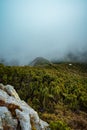 Vertical shot of a huge rock with a background of a landscape in misty weather