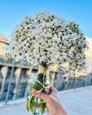 Vertical shot of human hand holding a bunch of beautiful white daisies in a jar Royalty Free Stock Photo