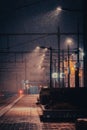 Vertical shot of the illuminated empty street at night in the rain. Royalty Free Stock Photo