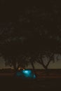 Vertical shot of illuminated tent next to trees silhouette at Night in Alcacer do Sal, Portugal