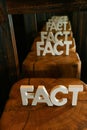 Vertical shot of an infinite reflection of the word "Fact"