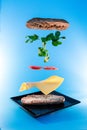 Vertical shot of ingredients of a sandwich carefully falling onto a plate on a blue background Royalty Free Stock Photo