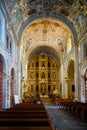 Vertical shot of the interior design of Santo Domingo church in Oaxaca, Mexico Royalty Free Stock Photo