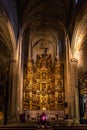 Vertical shot of the interior of Santa Maria of Coro Church in San Sebastian, Basque Country, Spain