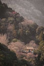 Vertical shot of a Japanese hut with colorful curtains in the woods