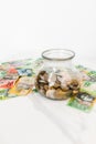 Vertical shot of a jar with coins and Australian dollar banknotes on the white background Royalty Free Stock Photo