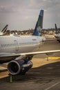 Vertical shot of a jetBlue plane landing at a gate Royalty Free Stock Photo