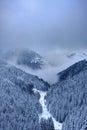 Vertical shot of Kopaonik mountain covered in trees and fog during winter in Serbia Royalty Free Stock Photo