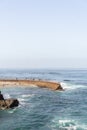 Vertical shot of the La Jolla shore in San Diego, California, the USA