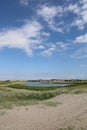 Vertical shot of a lake in a field covered in greenery under the sunlight in Toro Huse, Denmark Royalty Free Stock Photo