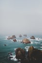 Vertical shot of large rocks in nugget point ahuriri, new zealand with a foggy background Royalty Free Stock Photo