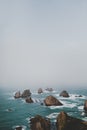 Vertical shot of large rocks in nugget point ahuriri, new zealand with a foggy background Royalty Free Stock Photo