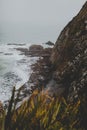 Vertical shot of large rocks in nugget point ahuriri, new zealand with a foggy background Royalty Free Stock Photo