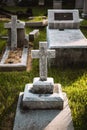 Vertical shot of a large white stone cross situated in a cemetery