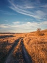 Vertical shot, late autumn scene with a dirt road crossing a dry grass field. Idyllic rural landscape, fall season mood, country Royalty Free Stock Photo