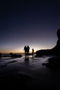 Vertical shot of Leo Carrillo state park Royalty Free Stock Photo