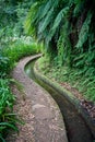 Vertical shot of the Levada of Madeira irrigation channels in the wilderness