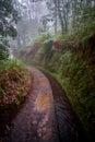 Vertical shot of the Levada of Madeira irrigation channels in the wilderness