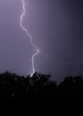 Vertical shot of lightning hitting a tree at night with a purple sky and trees in front Royalty Free Stock Photo