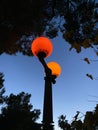 Vertical shot of a lit street lamp against a sky and silhouettes of leaves. Royalty Free Stock Photo