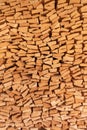 Vertical shot of logs stacked in a pile Royalty Free Stock Photo