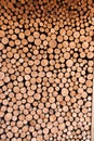 Vertical shot of logs stacked in a pile Royalty Free Stock Photo