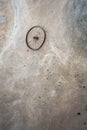 Vertical shot of a lone bicycle wheel stranded on the beach with low tides washing over it