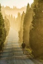 Vertical shot of a lonely person running along the street surrounded by tall green trees