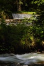 Vertical shot of a long exposure water stream flowing over rocks with trees in the background Royalty Free Stock Photo