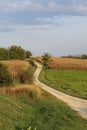 Vertical shot of a long and narrow dirt road on a farm under a beautiful sky Royalty Free Stock Photo