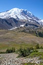 Looking across alpine meadows to Mount Rainier from Fremont Trail Royalty Free Stock Photo