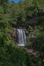 Vertical shot of Looking Glass Falls surrounded by green vegetation. North Carolina, USA. Royalty Free Stock Photo