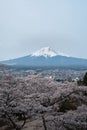Vertical shot of the magnificent Mount Fuji captured in Japan