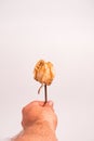 Vertical shot of a male hand holding a dried rose on a light-colored background Royalty Free Stock Photo