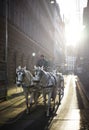 Vertical shot of a male riding a carriage in the street of Vienna, Austria on a sunny day