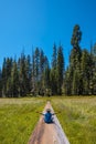 Vertical shot of a male sitting on the log in Sequoia National Park, California