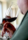 Vertical shot of a man drinking a glass of red wine Royalty Free Stock Photo