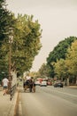 Vertical shot of a man riding a carriage in Seville, Spain