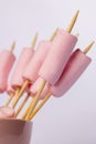 Vertical Shot of Marshmallow Skewers Ready for Toasting Royalty Free Stock Photo