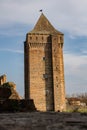 Vertical shot of a medieval Bac fortress illuminated by sun rays in Bac, Serbia Royalty Free Stock Photo