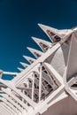 Vertical shot of the modern Calatrava Valencia Oceanarium building design